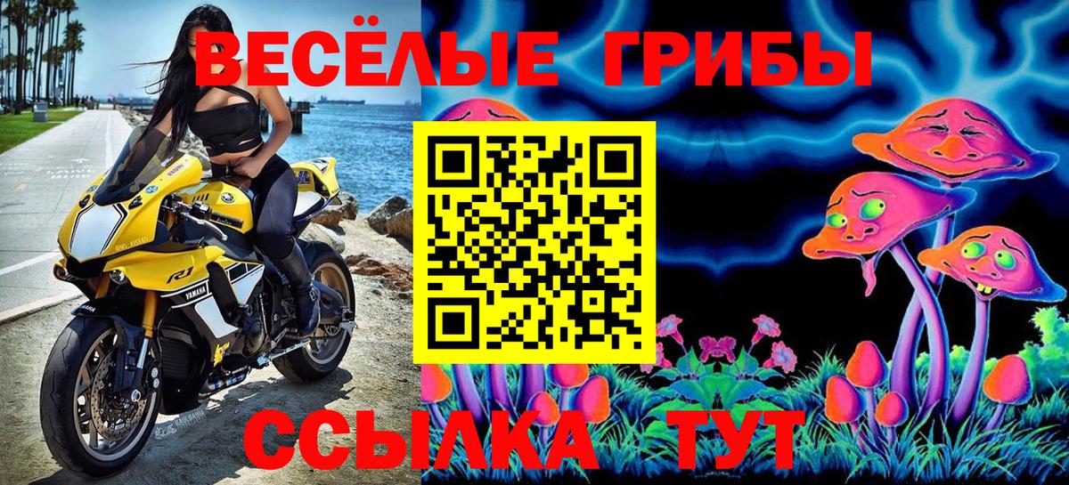 Каменка  Псилоцибиновые грибы Psilocybe  Вход с VPN 